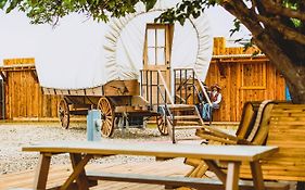 The Big Texan - Cabins And Wagons